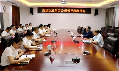 汪启来到公司调研指导