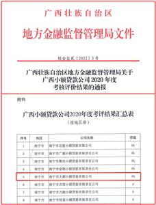 大都小贷公司获评2020年度全区 “AA级”资质小额贷款公司