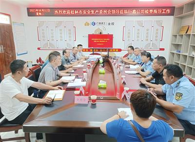 桂林市安委办到巨鑫公司开展安全生产专项督查